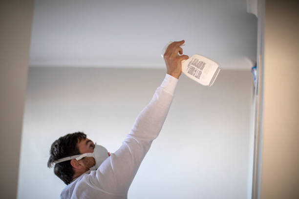 Best Attic Mold Removal  in Nixon, TX