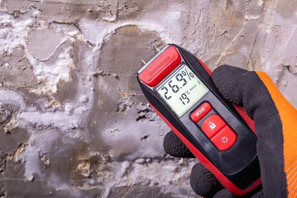 Best Certified Mold Removal  in Nixon, TX