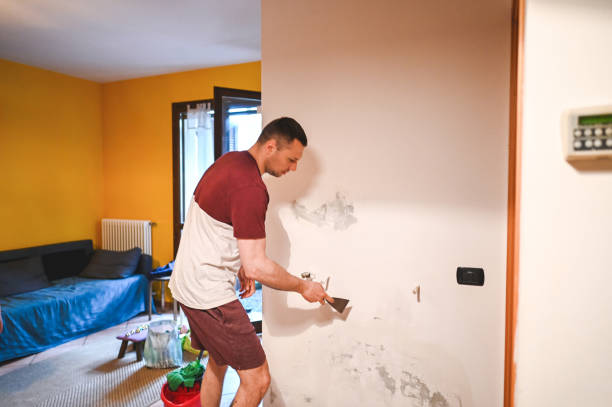 Best Mold Removal Near Me  in Nixon, TX