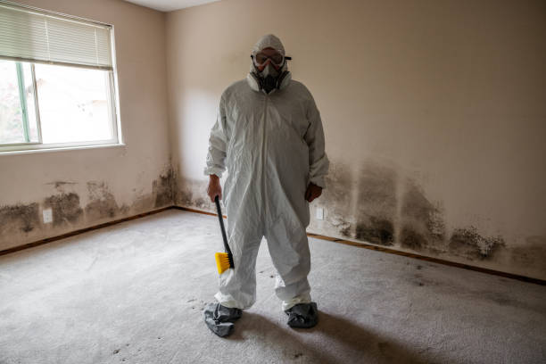 Best Crawl Space Mold Removal  in Nixon, TX
