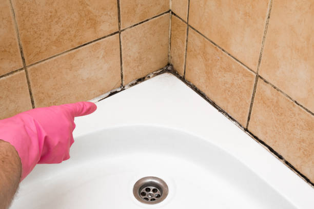 Best Mold Cleaning Services  in Nixon, TX